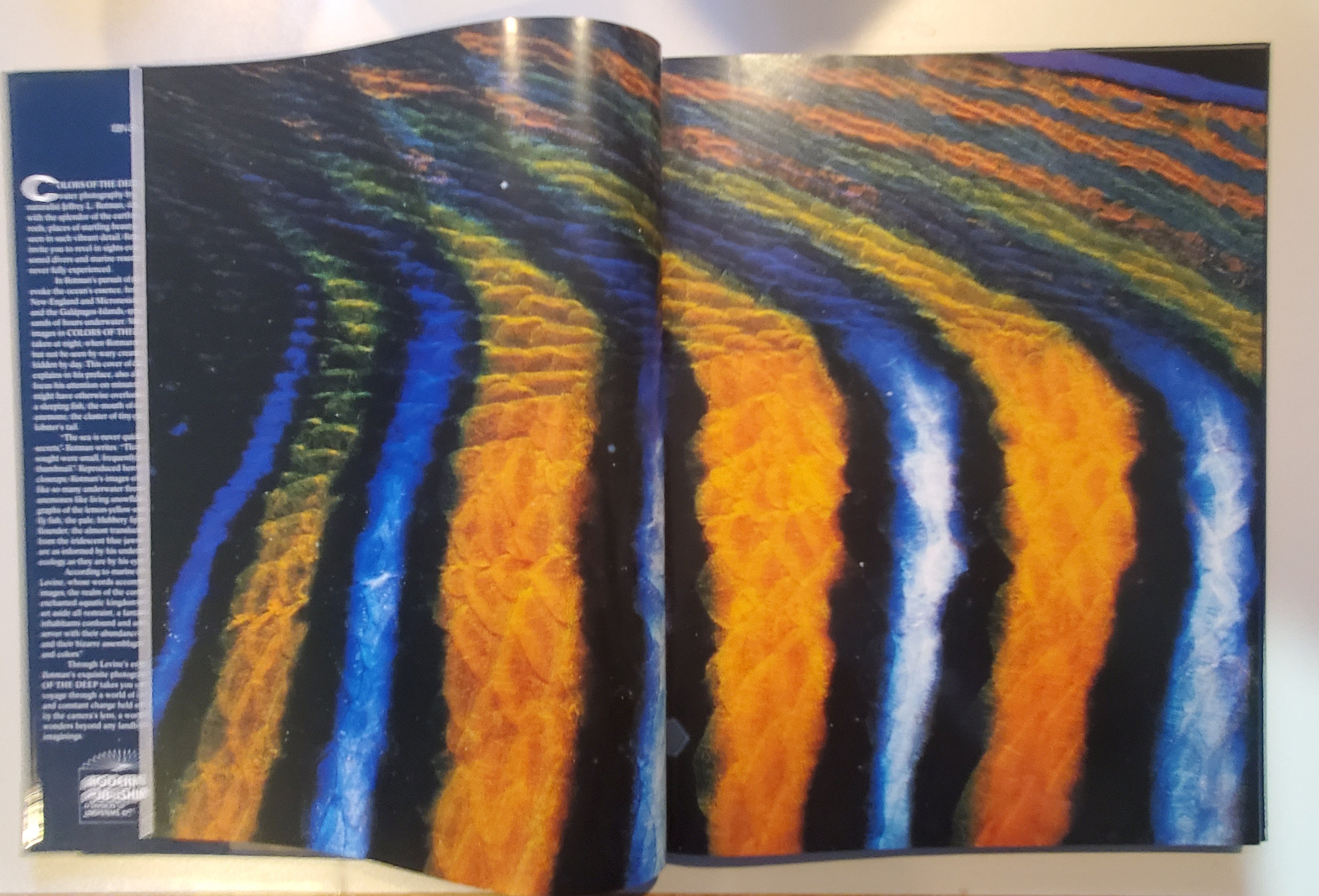 Colors of the Deep by Jeffrey L. Rotman - Vintage Photography Book