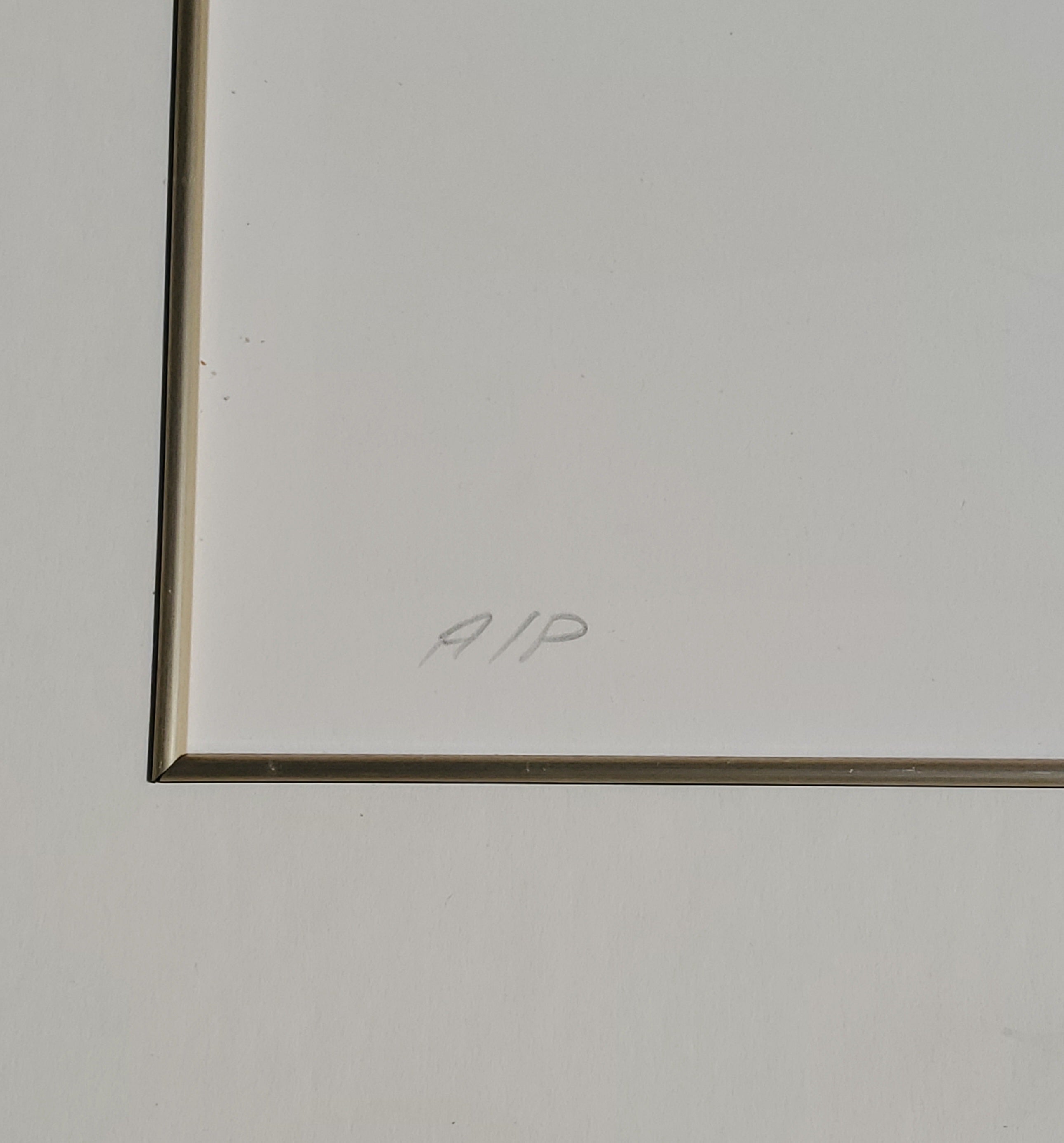 Pablo Picasso - "Le Couple" Framed Collection Marina Picasso Lithograph