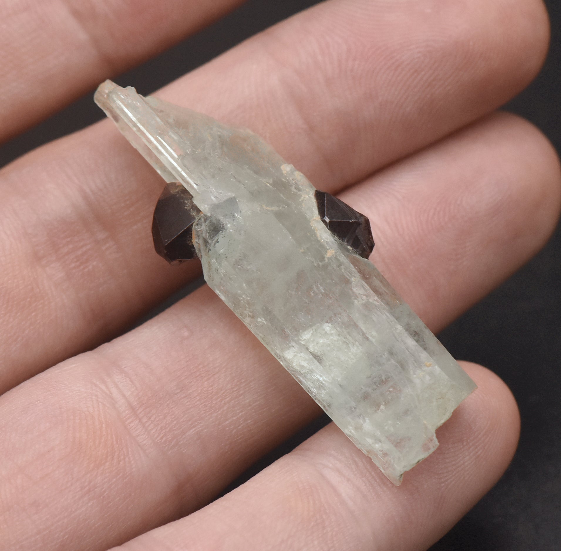 Aquamarine with Garnets Crystal MIneral Specimen - Pakistan