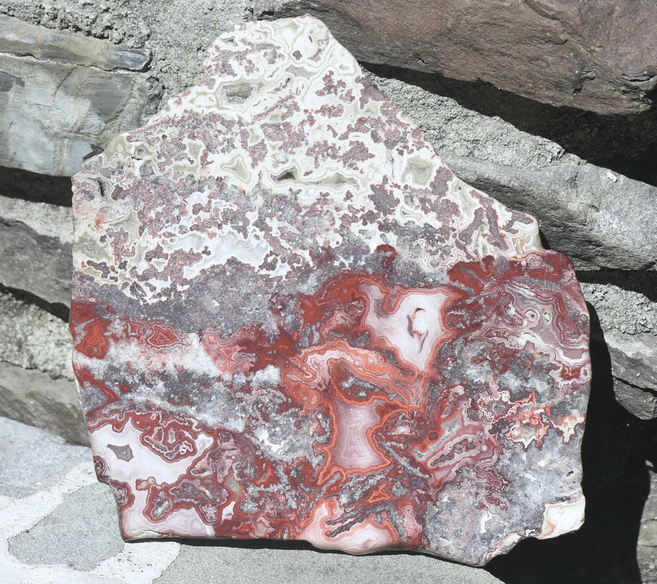 Crazy Lace Agate Large Polished Slab - 749g