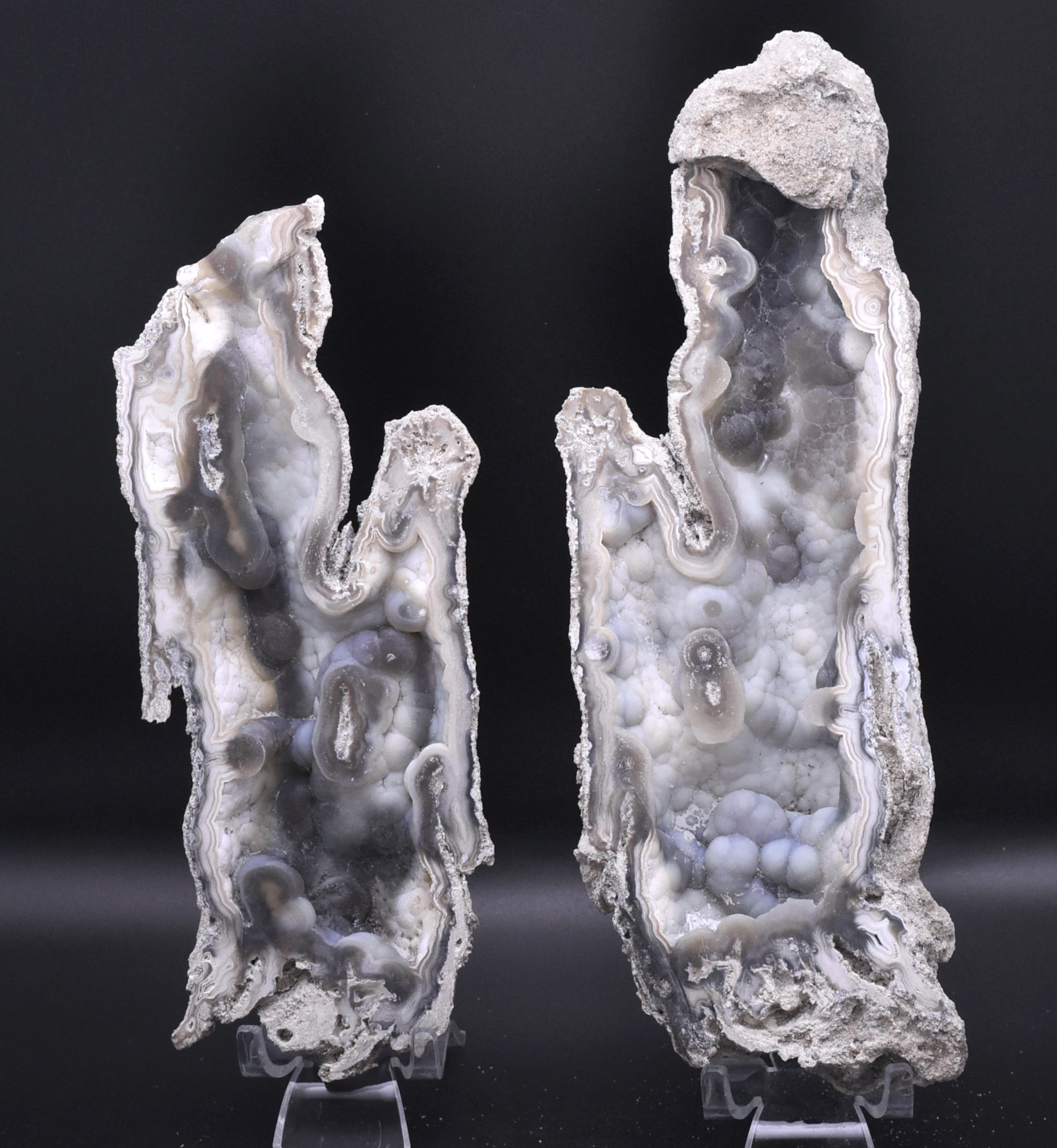 Agatized Coral Fossil Geode Specimen