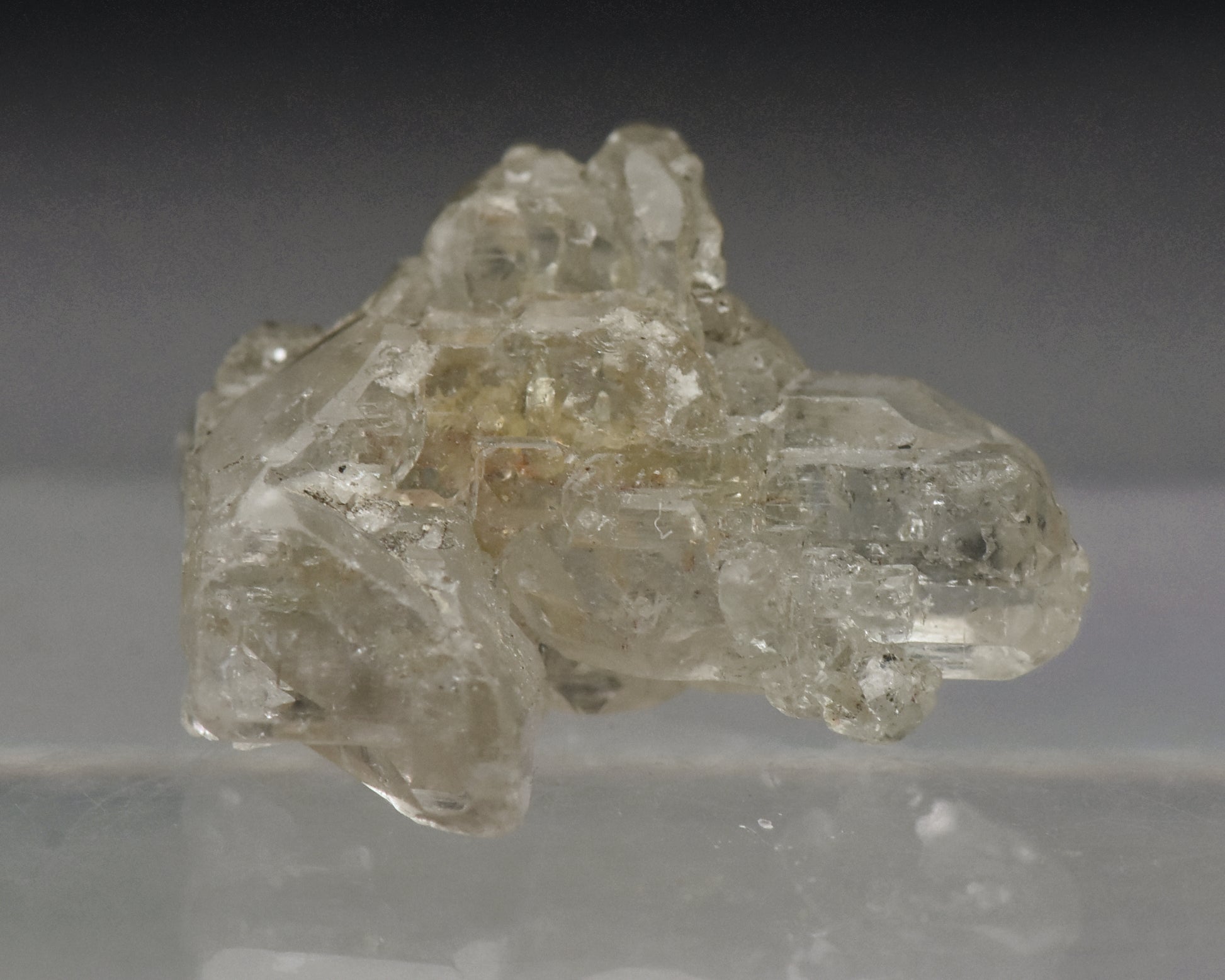Fluorapatite 'Skeletal' Crystal Mineral Specimen - Brazil
