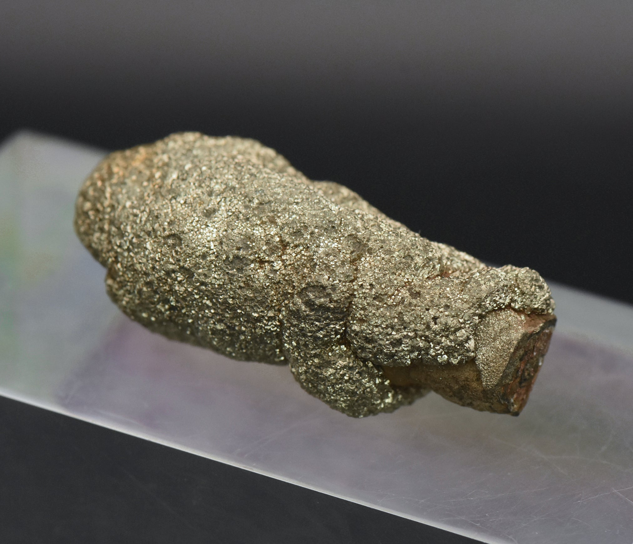 Botryoidal Marcasite Mineral Specimen - Afghanistan