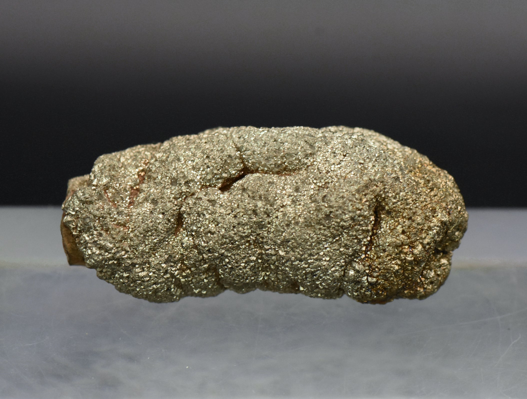 Botryoidal Marcasite Mineral Specimen - Afghanistan