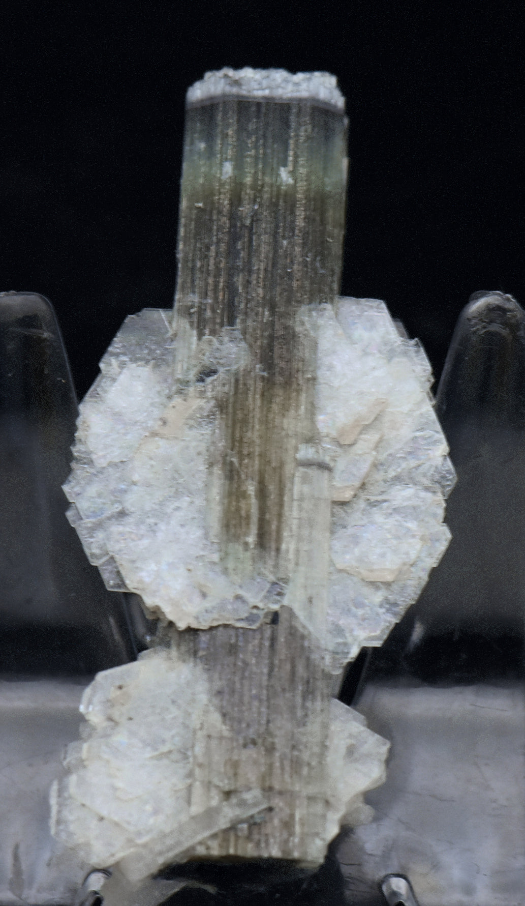 Blue Cap Green Tourmaline "Angel" Wings Mineral Specimen - Pakistan