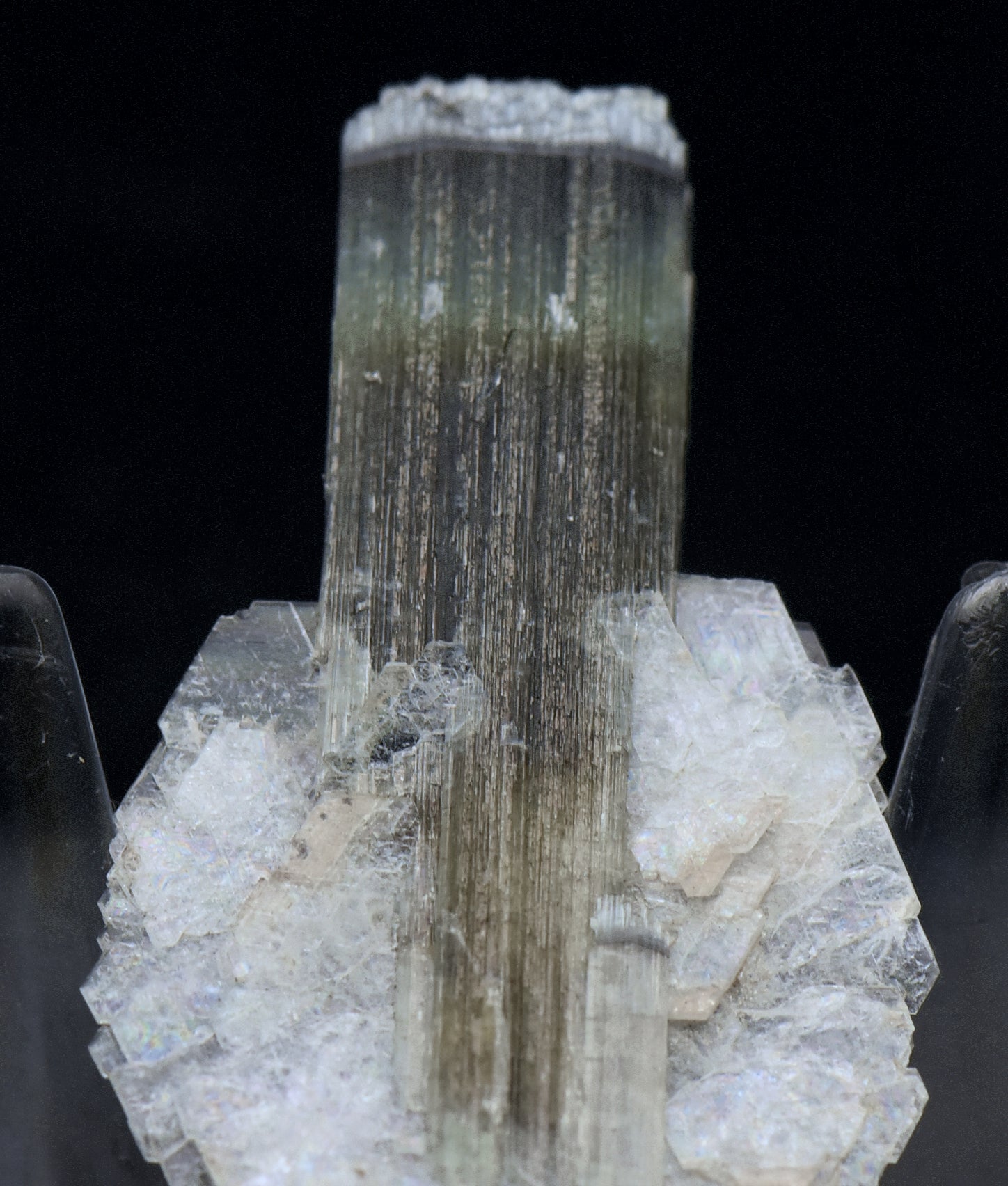 Blue Cap Green Tourmaline "Angel" Wings Mineral Specimen - Pakistan