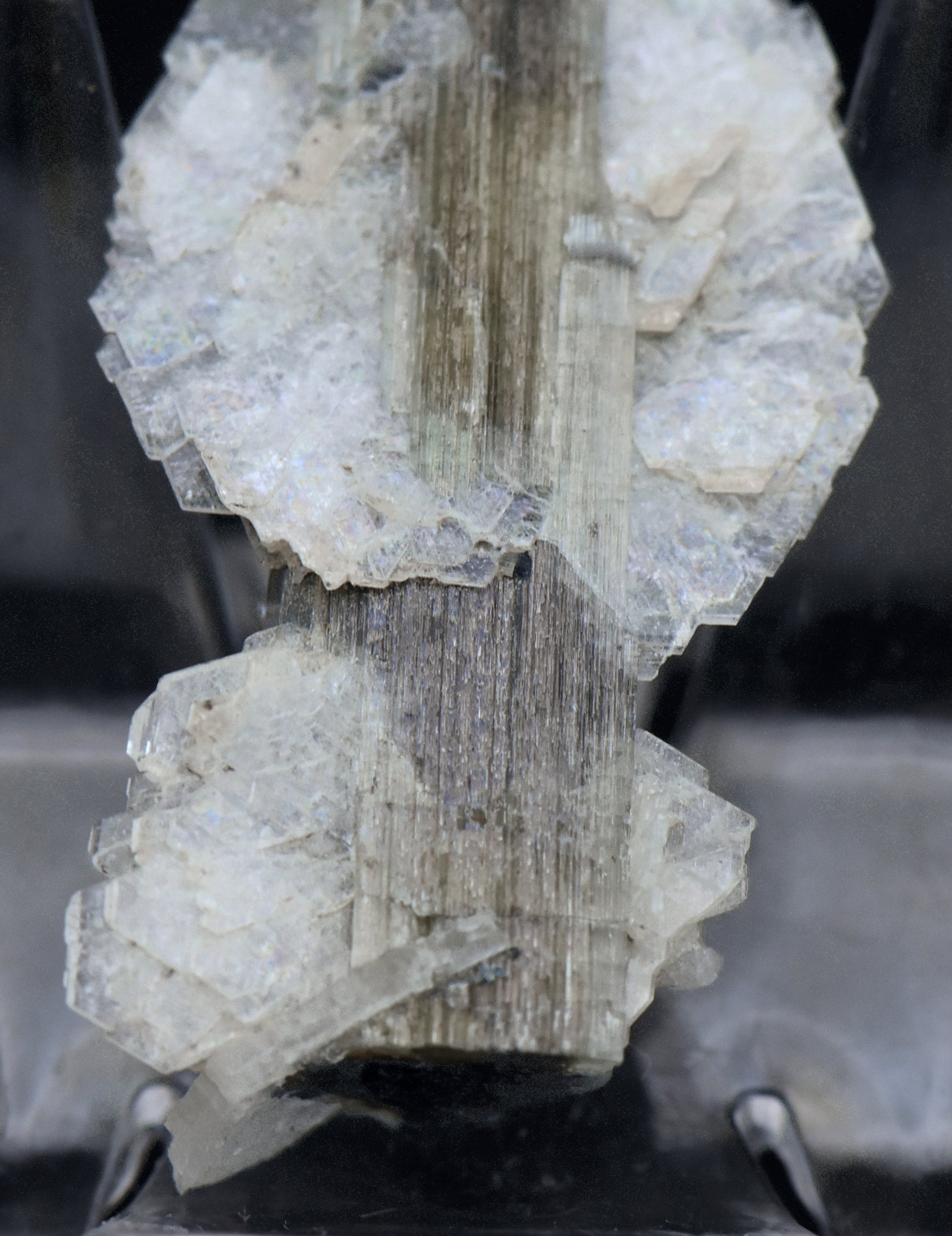 Blue Cap Green Tourmaline "Angel" Wings Mineral Specimen - Pakistan