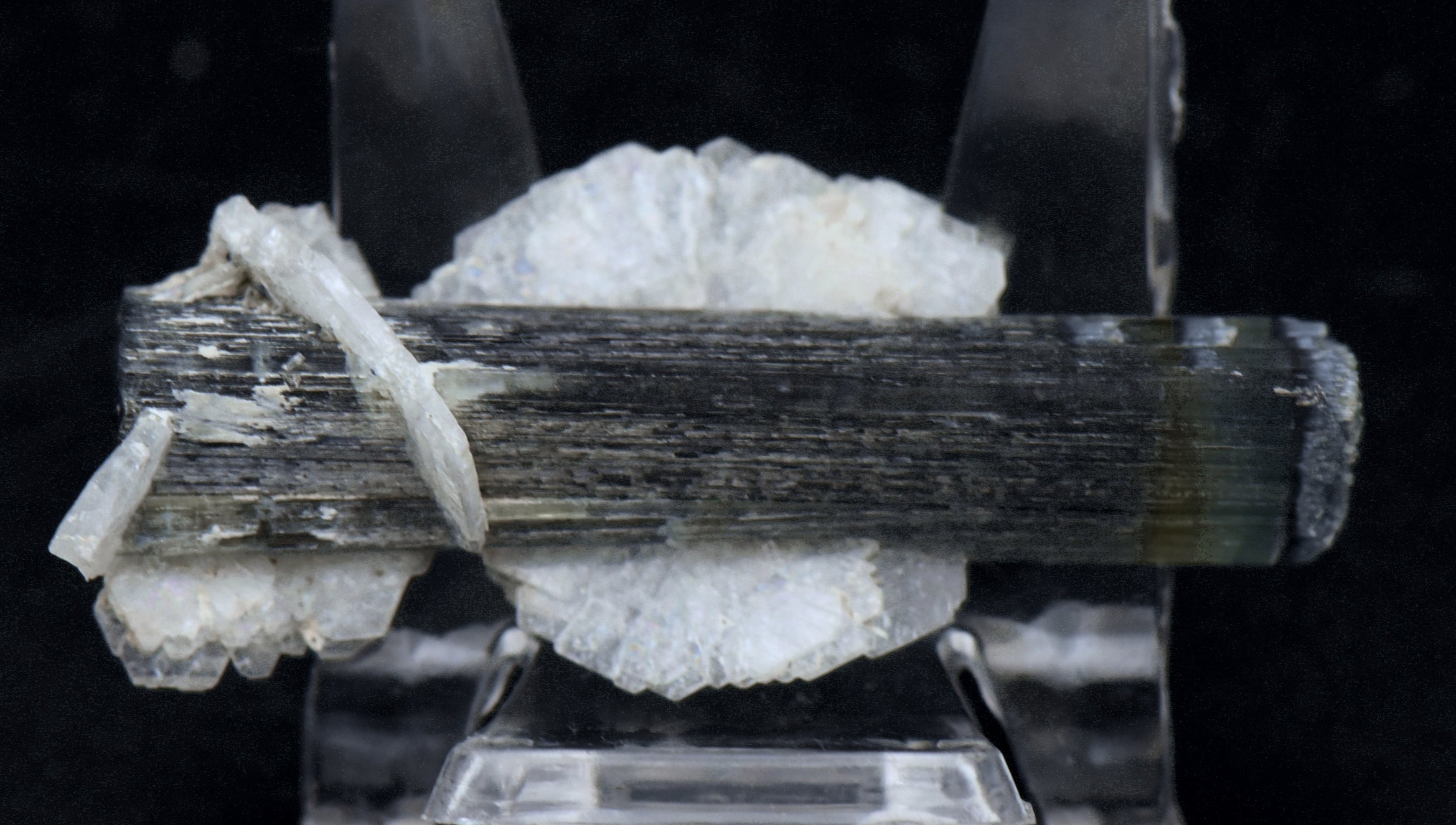 Blue Cap Green Tourmaline "Angel" Wings Mineral Specimen - Pakistan