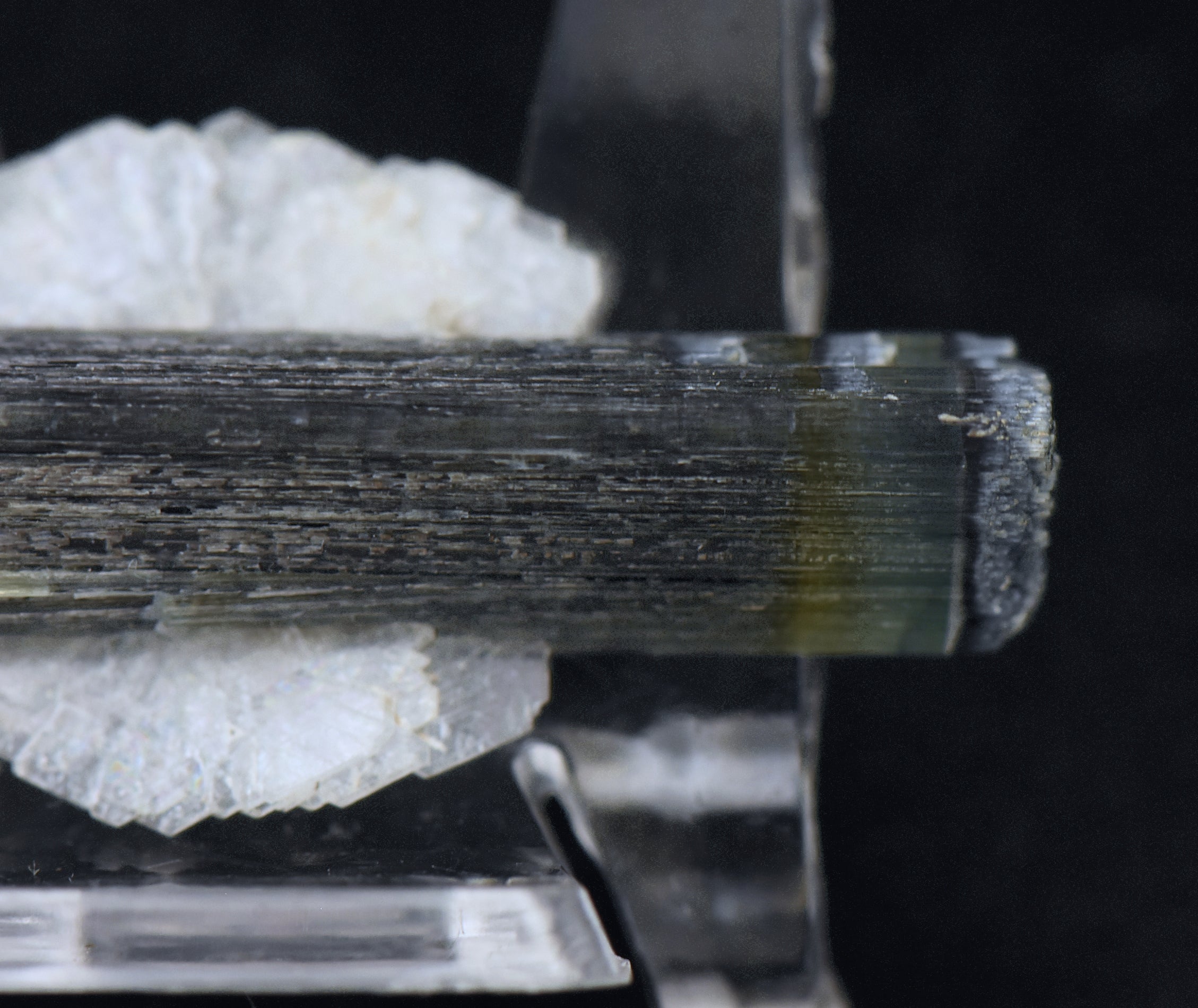 Blue Cap Green Tourmaline "Angel" Wings Mineral Specimen - Pakistan