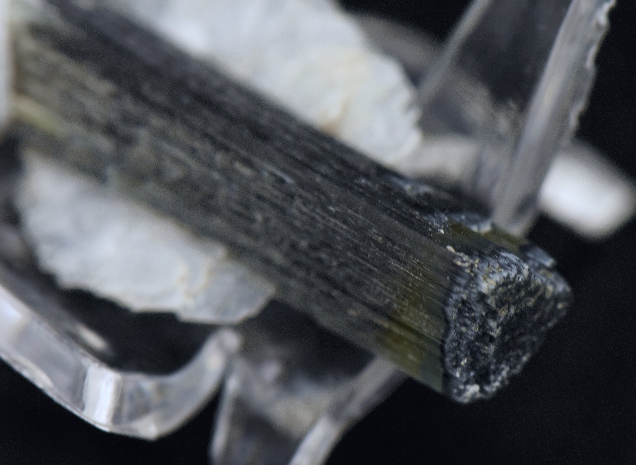 Blue Cap Green Tourmaline "Angel" Wings Mineral Specimen - Pakistan