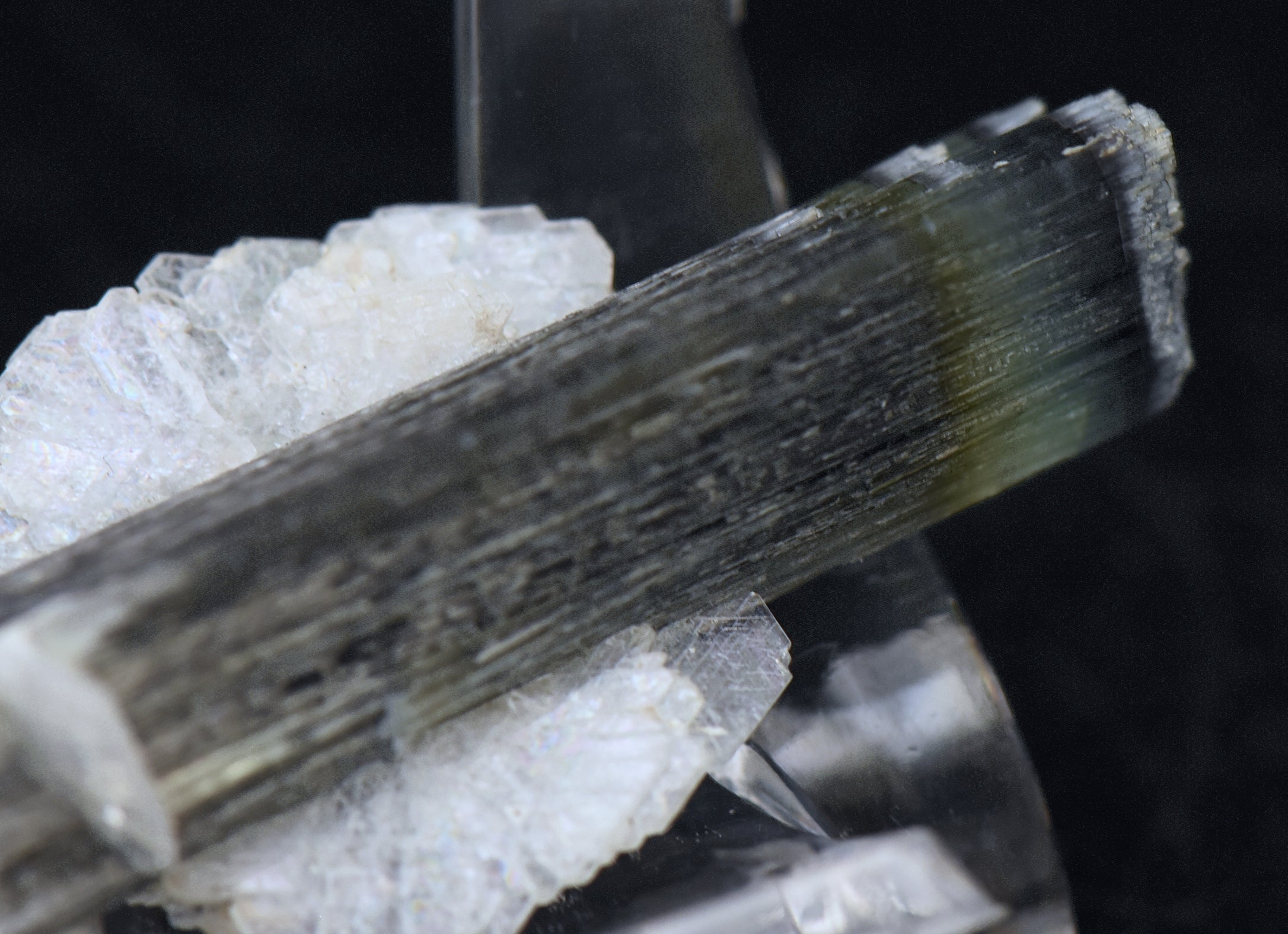 Blue Cap Green Tourmaline "Angel" Wings Mineral Specimen - Pakistan