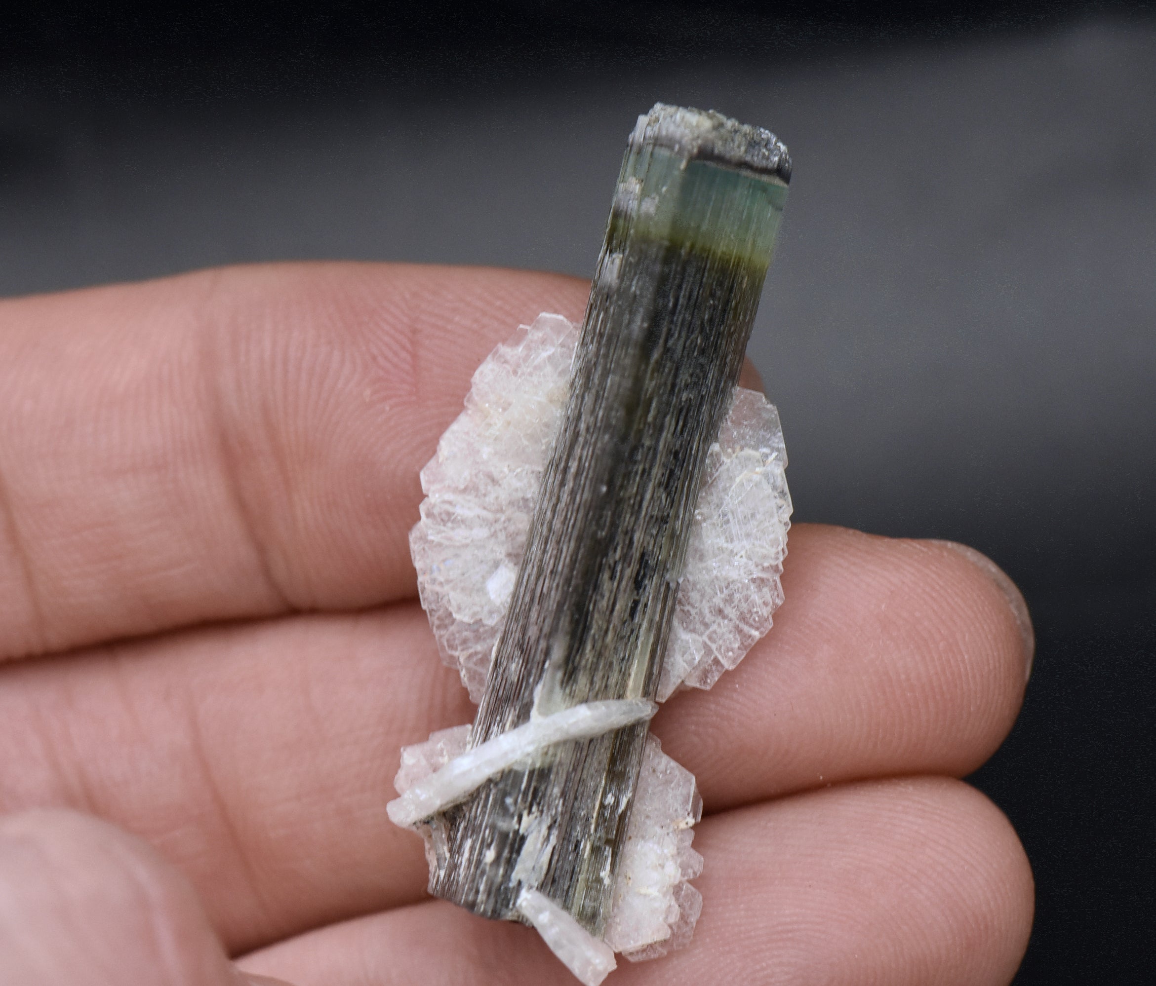 Blue Cap Green Tourmaline "Angel" Wings Mineral Specimen - Pakistan