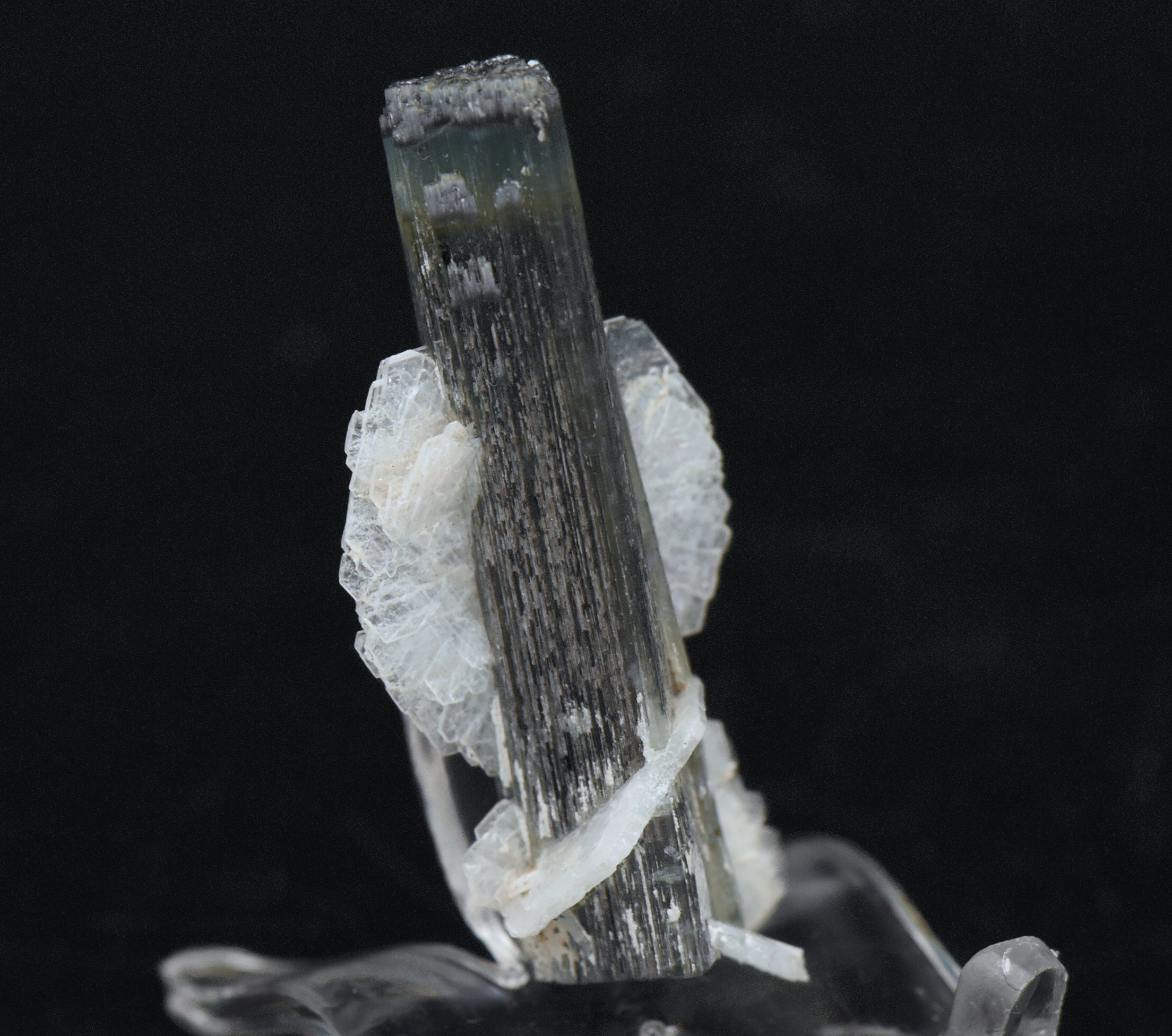 Blue Cap Green Tourmaline "Angel" Wings Mineral Specimen - Pakistan