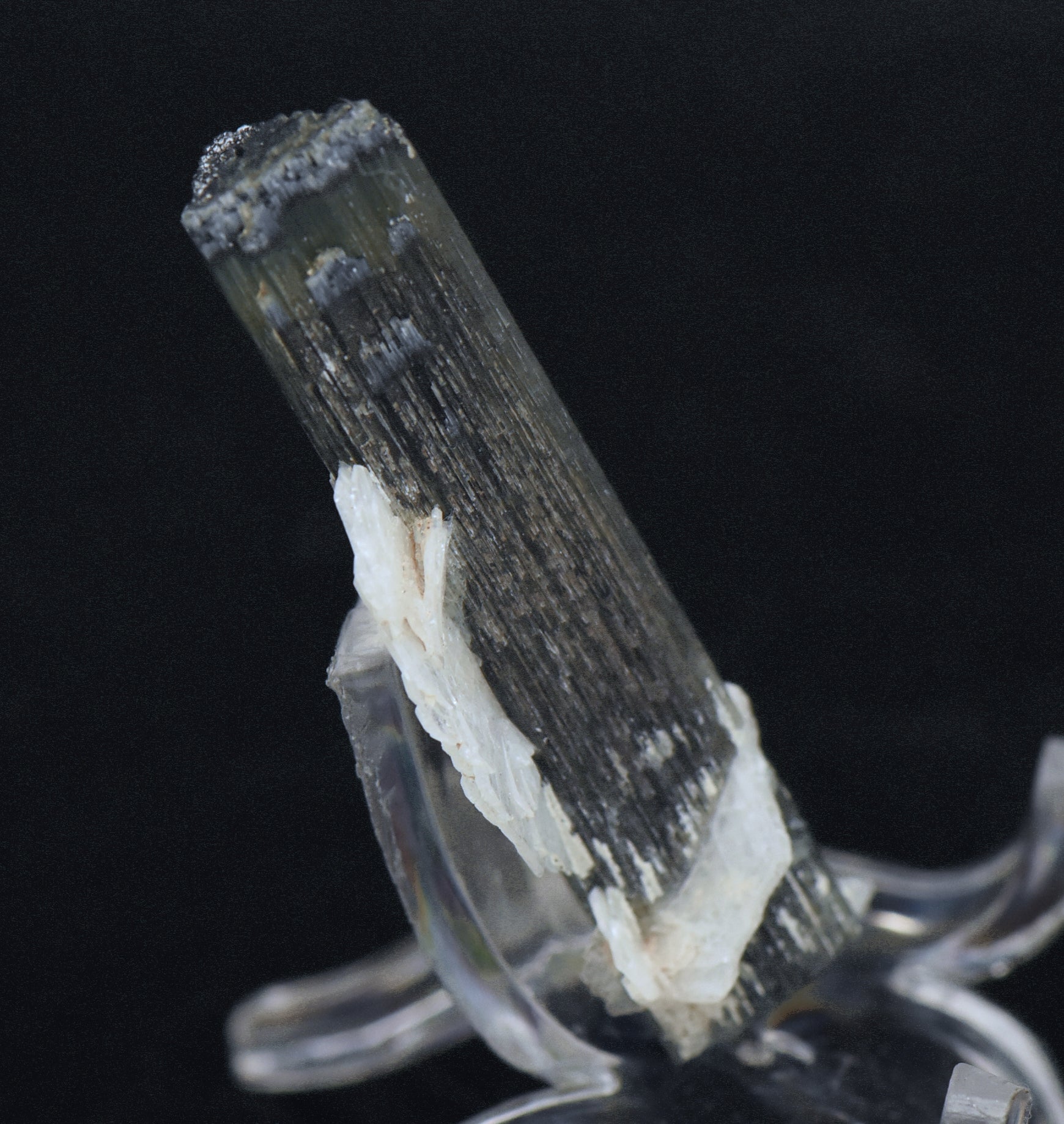 Blue Cap Green Tourmaline "Angel" Wings Mineral Specimen - Pakistan