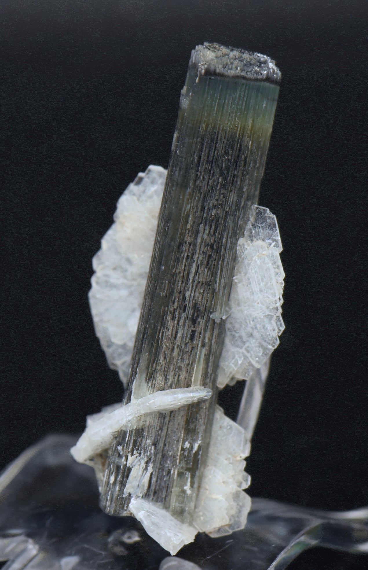 Blue Cap Green Tourmaline "Angel" Wings Mineral Specimen - Pakistan