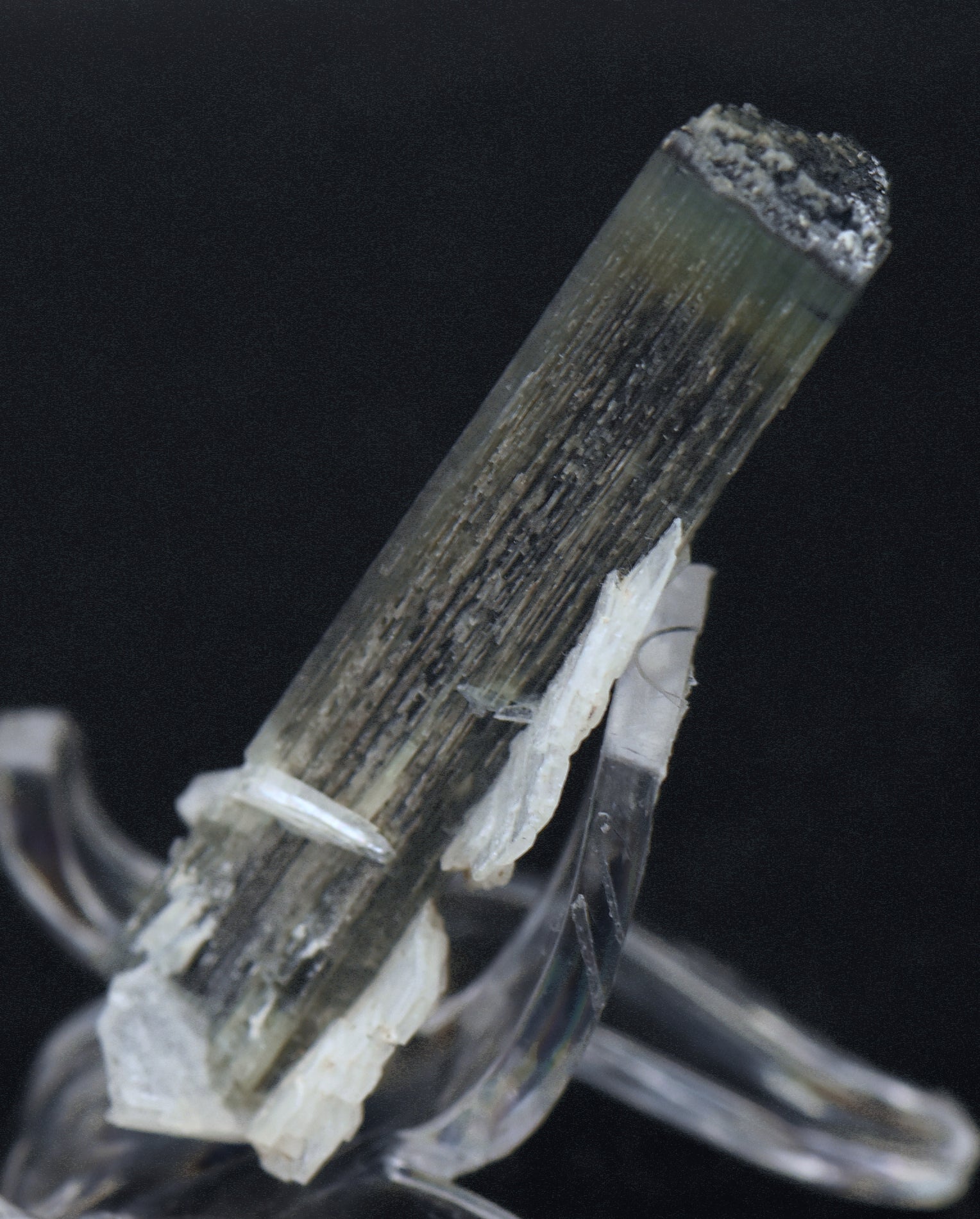 Blue Cap Green Tourmaline "Angel" Wings Mineral Specimen - Pakistan