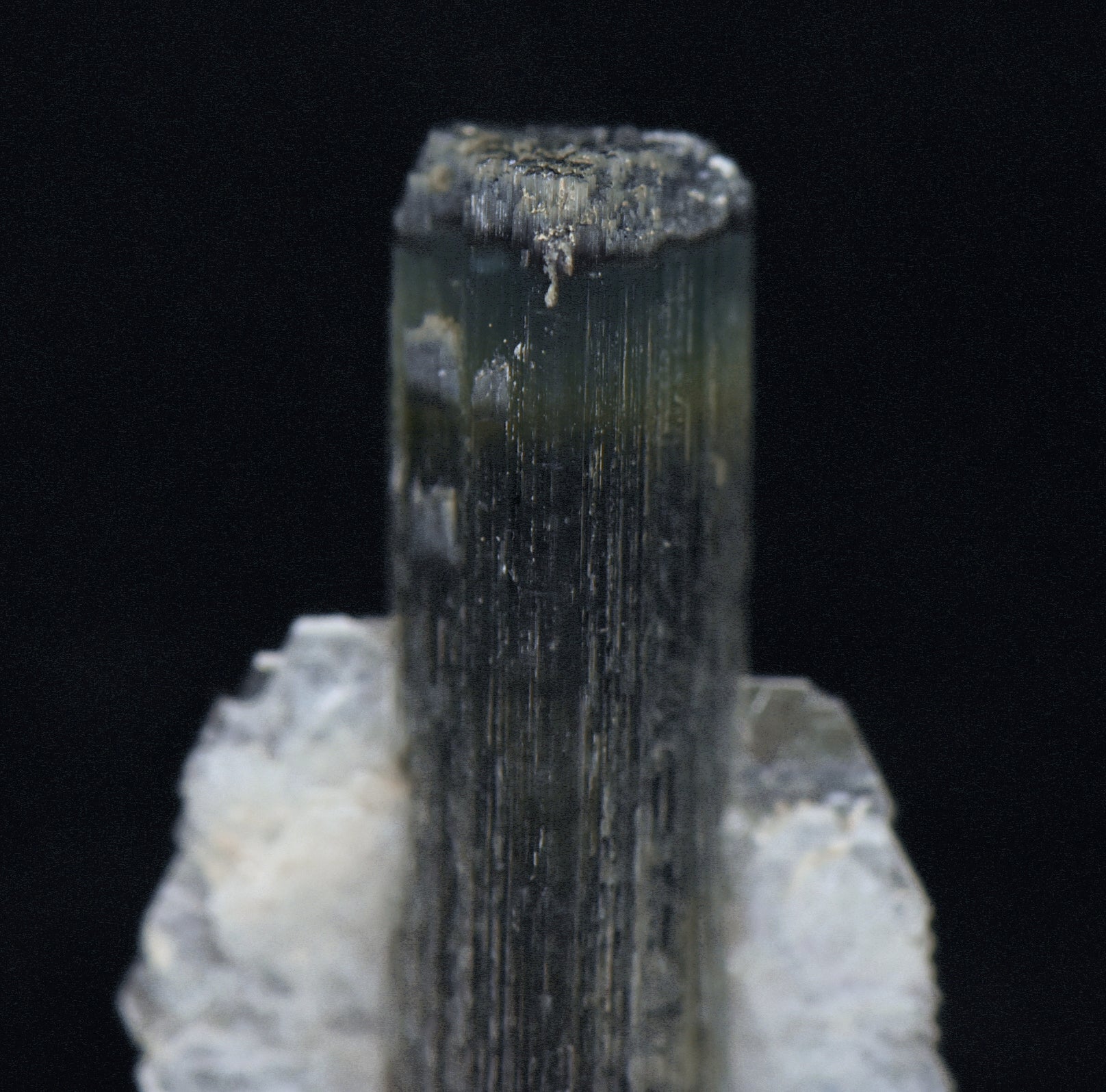 Blue Cap Green Tourmaline "Angel" Wings Mineral Specimen - Pakistan
