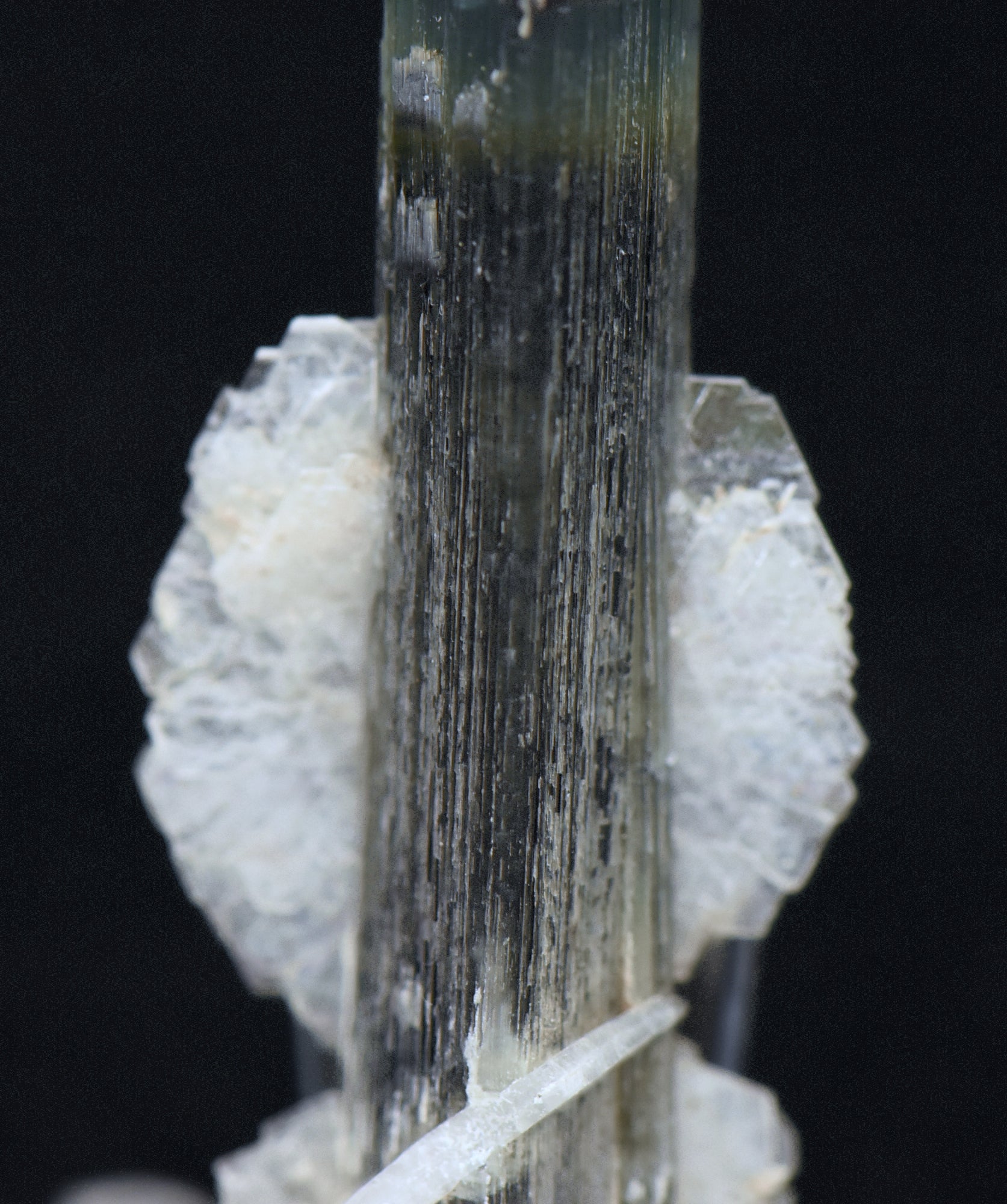 Blue Cap Green Tourmaline "Angel" Wings Mineral Specimen - Pakistan