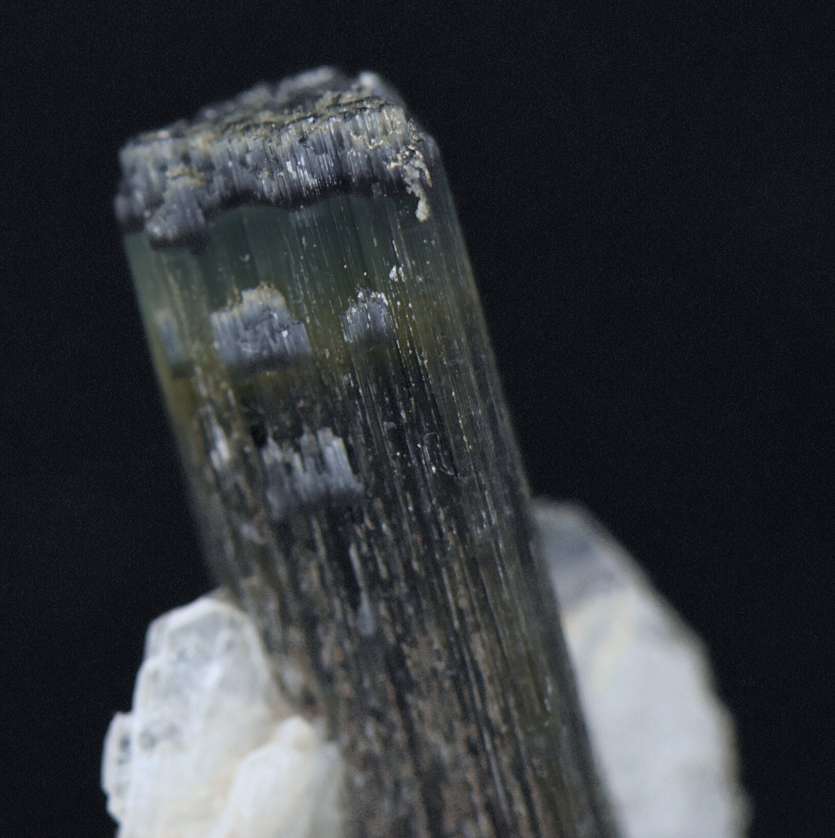 Blue Cap Green Tourmaline "Angel" Wings Mineral Specimen - Pakistan