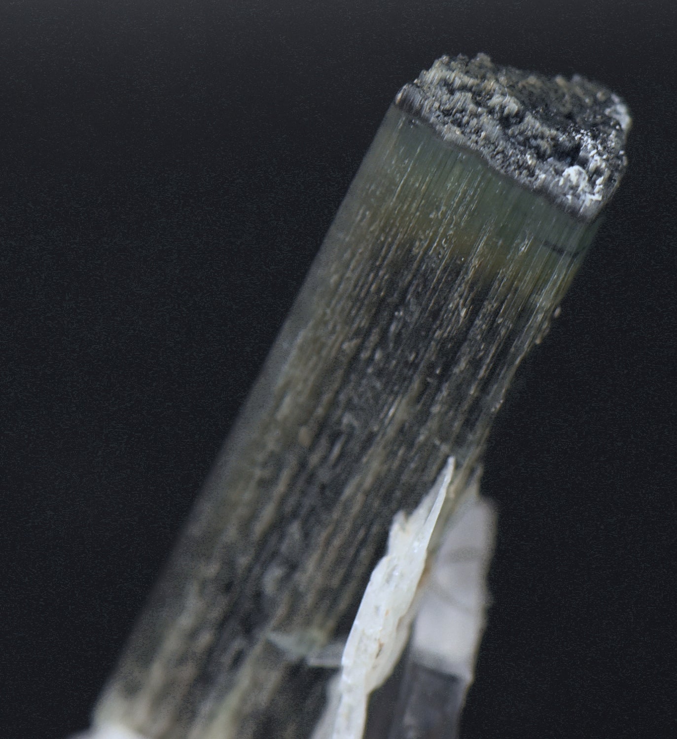 Blue Cap Green Tourmaline "Angel" Wings Mineral Specimen - Pakistan