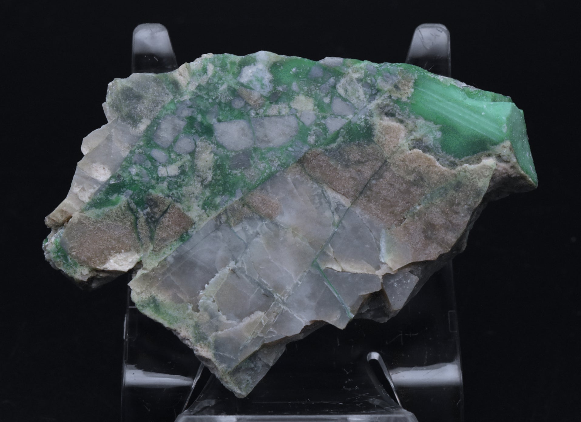 Slab of Variscite - Utah, USA