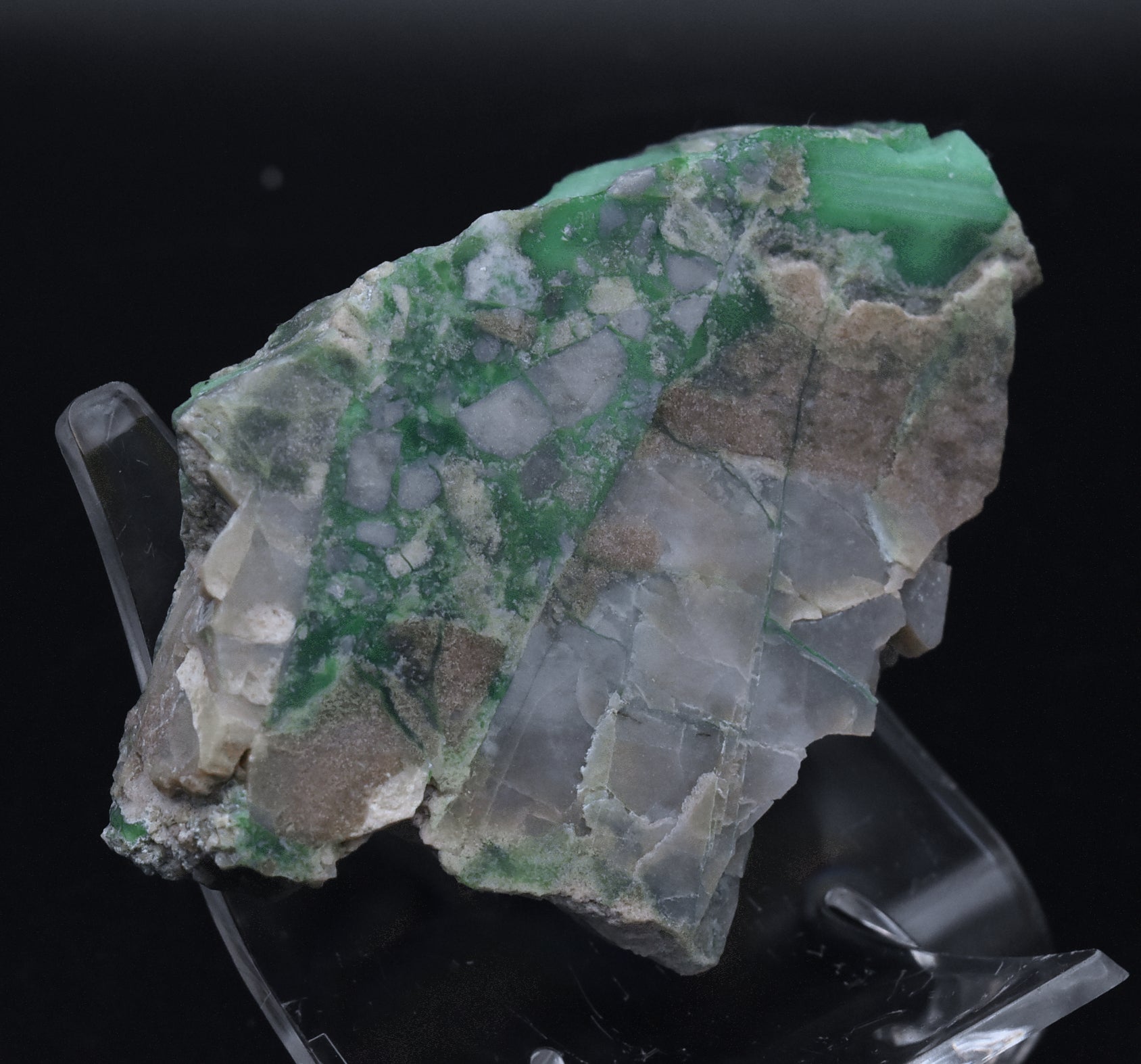 Slab of Variscite - Utah, USA