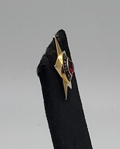 Gold Tone Red Crystal Star VBH Star Volunteer Pin