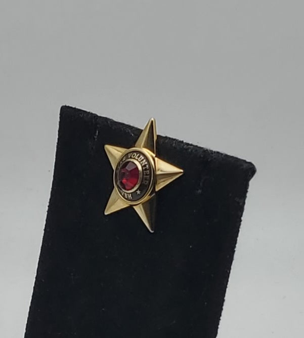 Gold Tone Red Crystal Star VBH Star Volunteer Pin