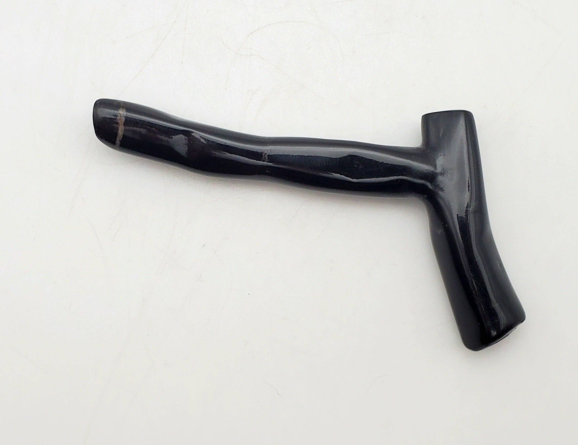 Opalized Fossil Branch Specimen - Indonesia