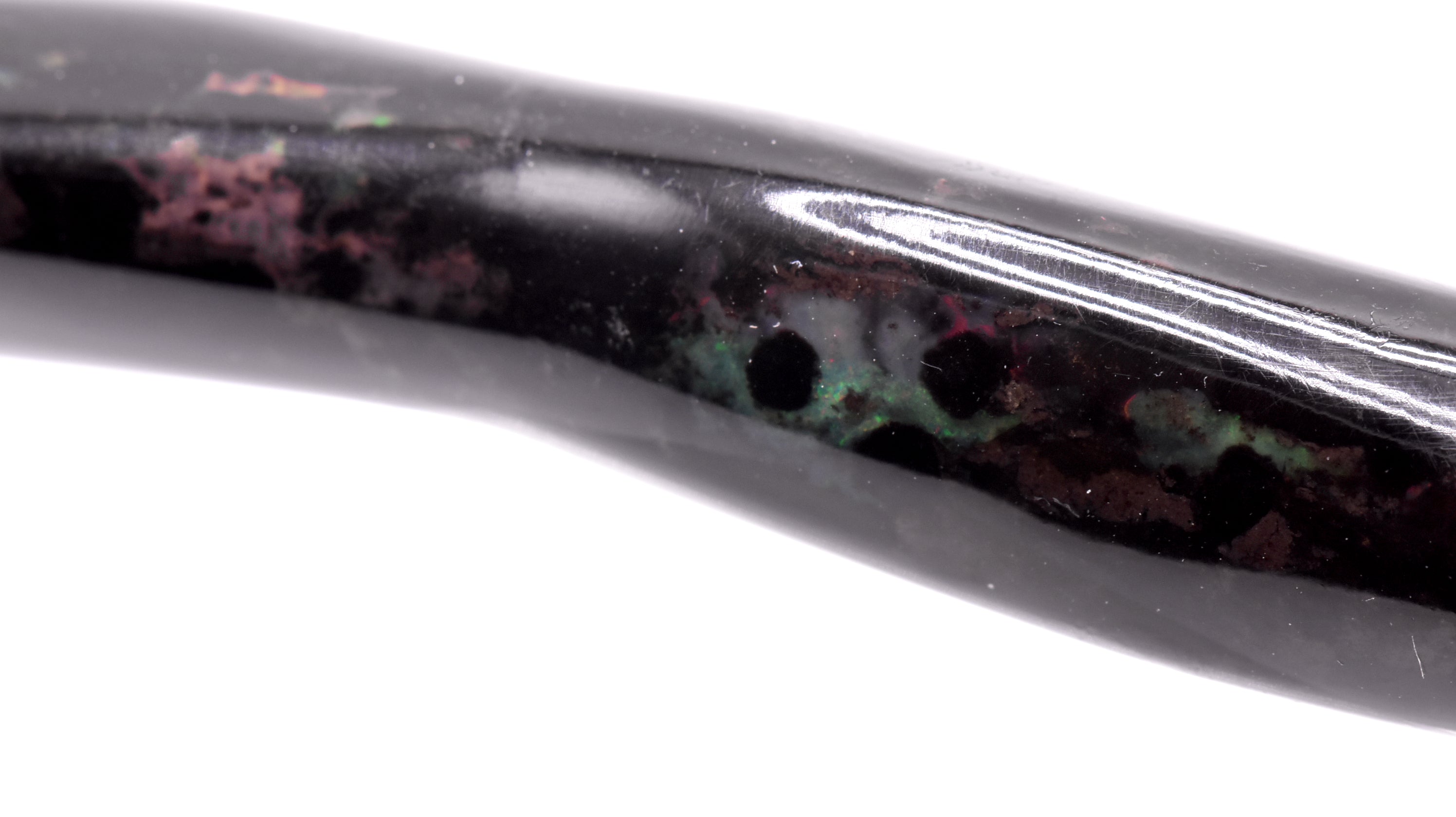 Opalized Fossil Branch Specimen - Indonesia