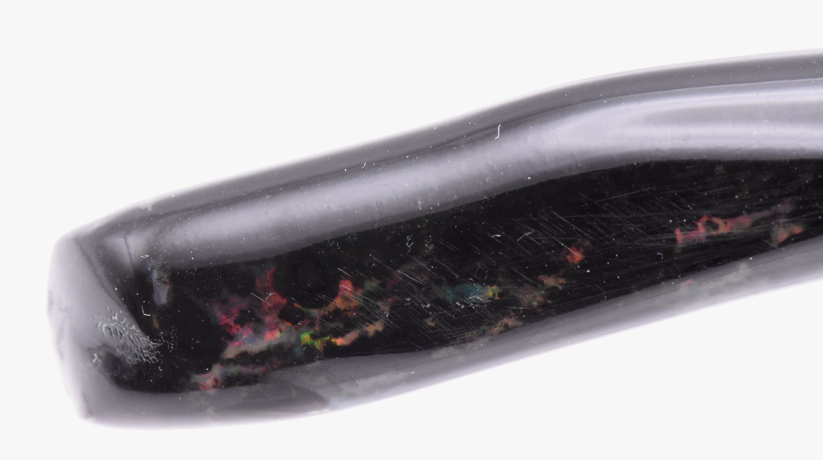 Opalized Fossil Branch Specimen - Indonesia