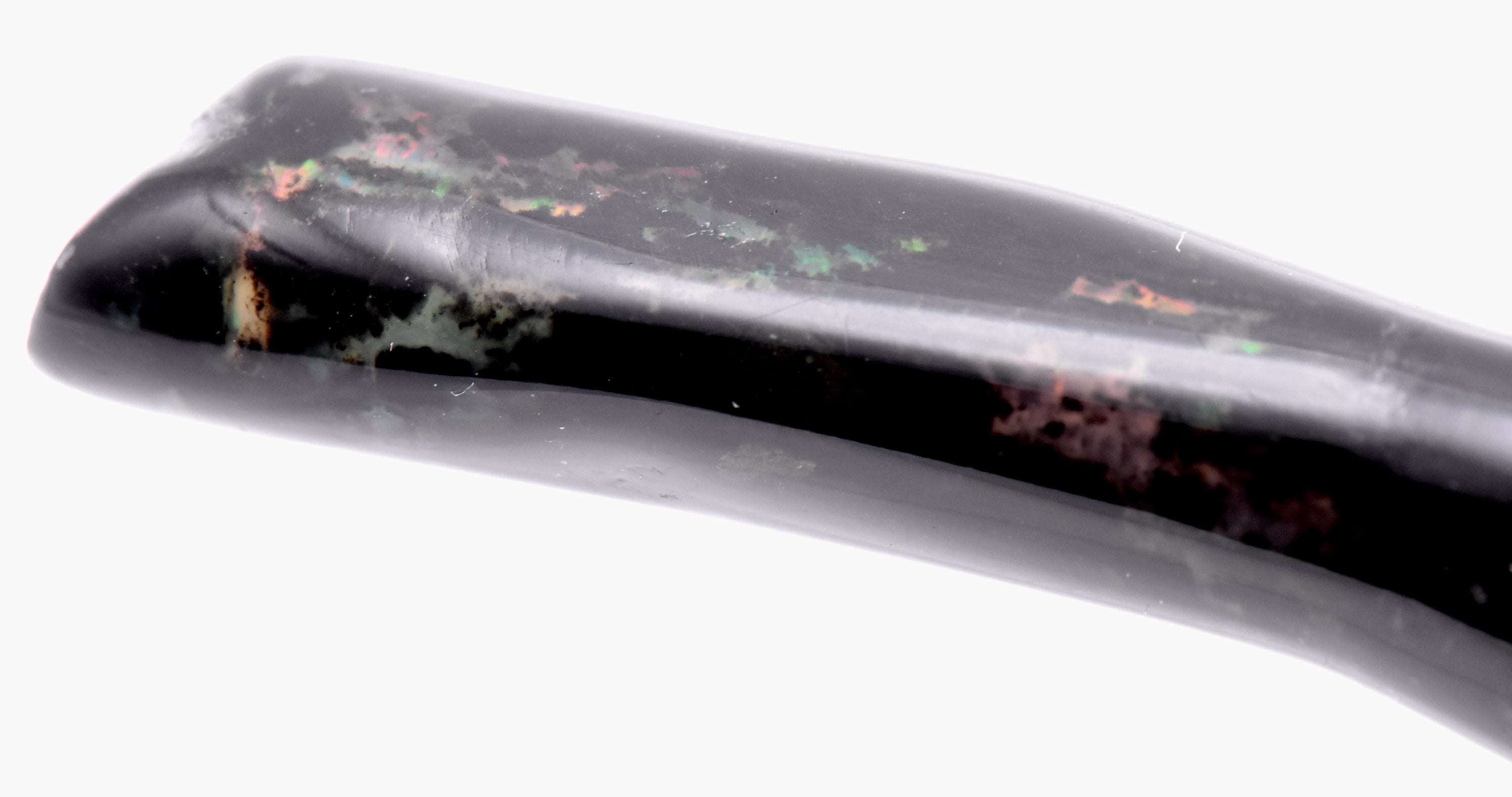 Opalized Fossil Branch Specimen - Indonesia