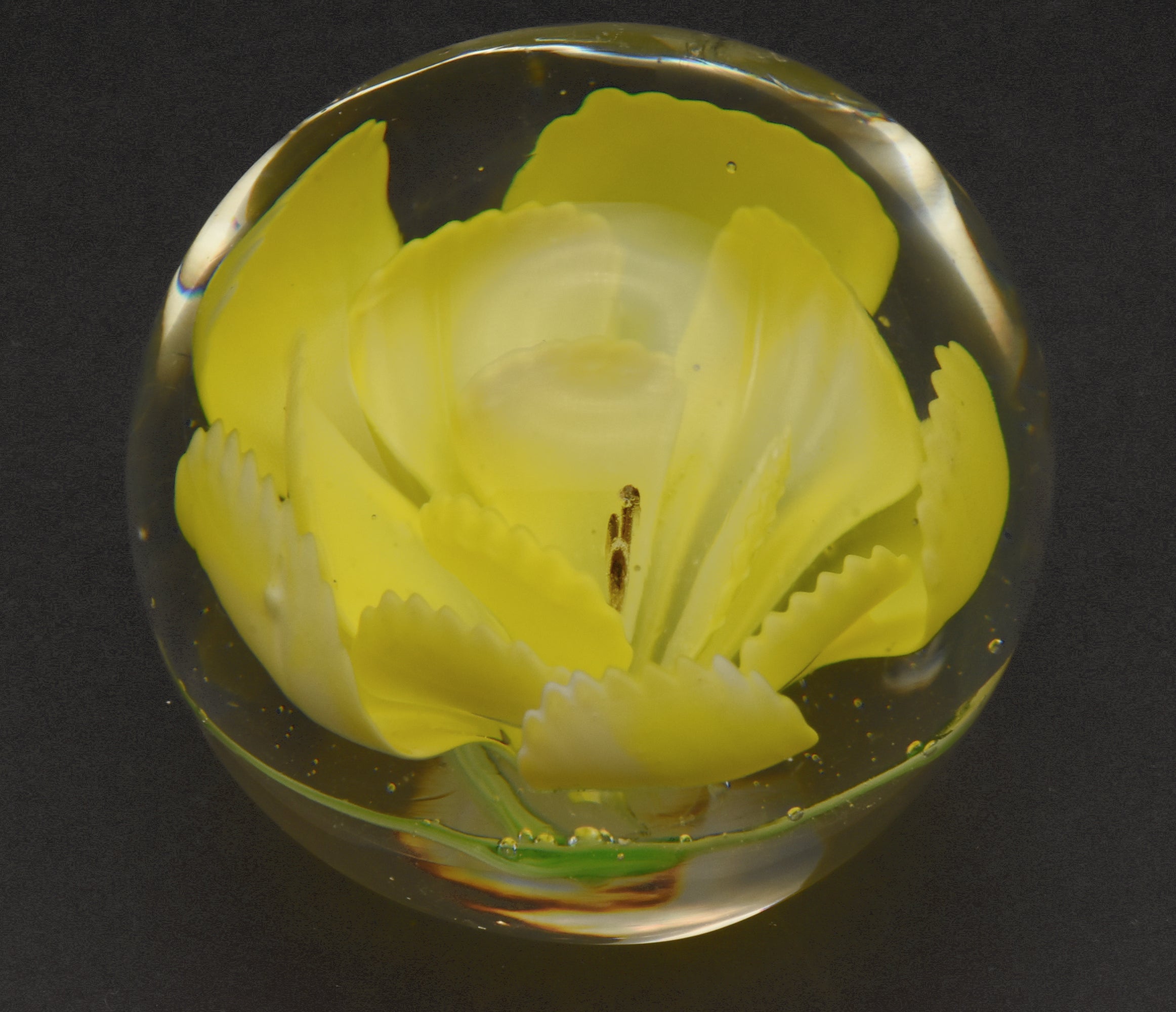 Vintage Yellow Flower Encased Glass Paperweight