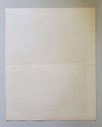 Antique German Birds of Prey Lithograph