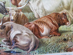 Antique German Bovines Lithograph