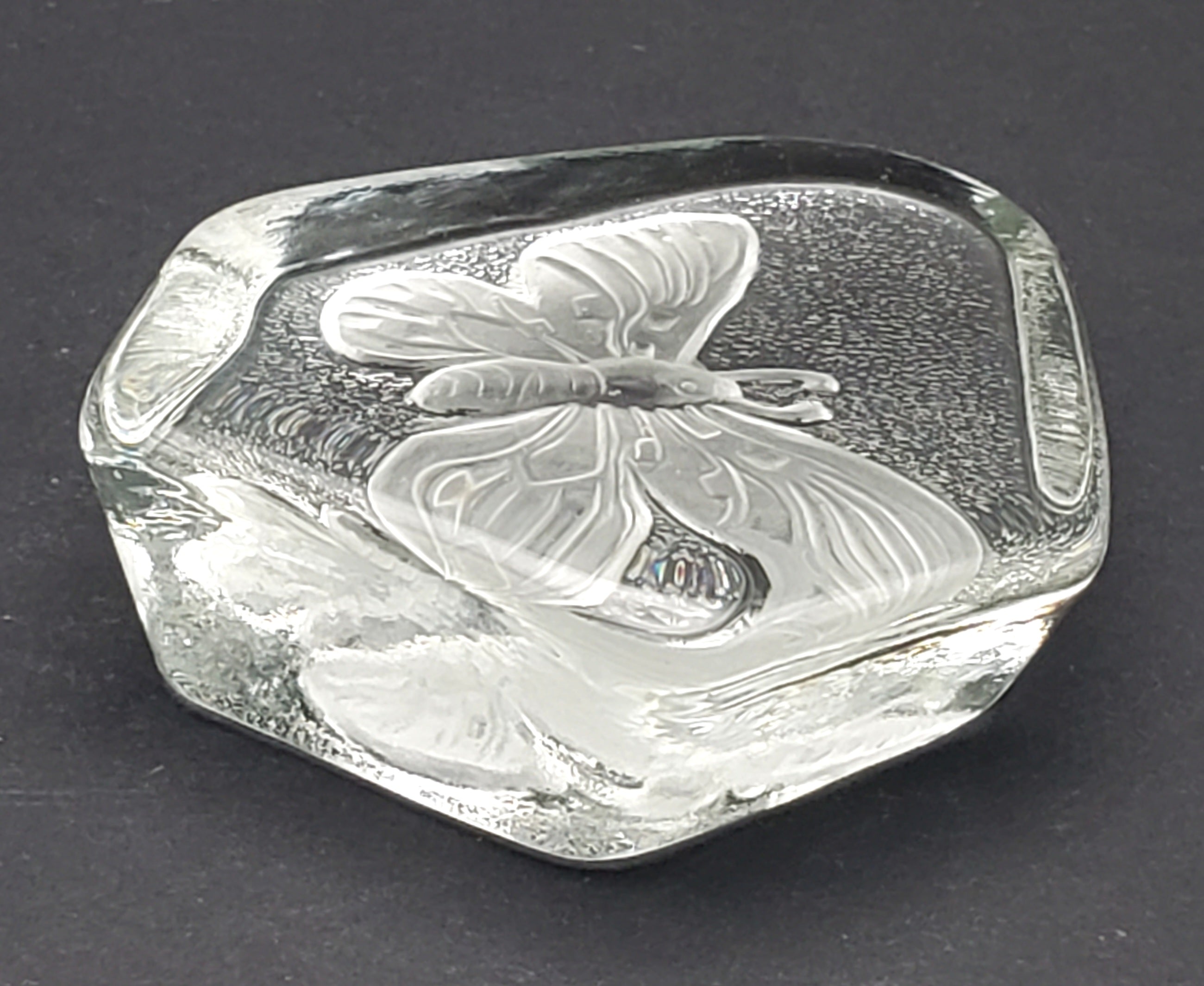 Vintage Glass Three Dimensional Plaque of a Moth