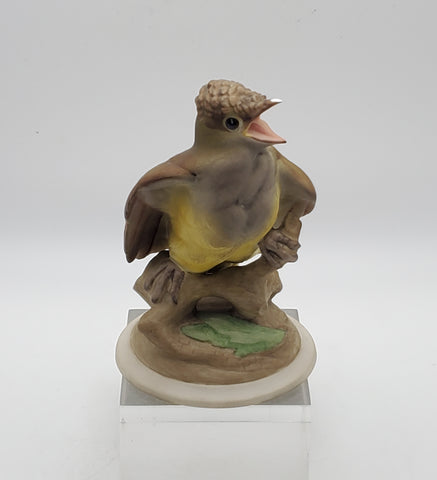 Boehm - Porcelain Baby Crested Flycatcher Figurine - Chipped