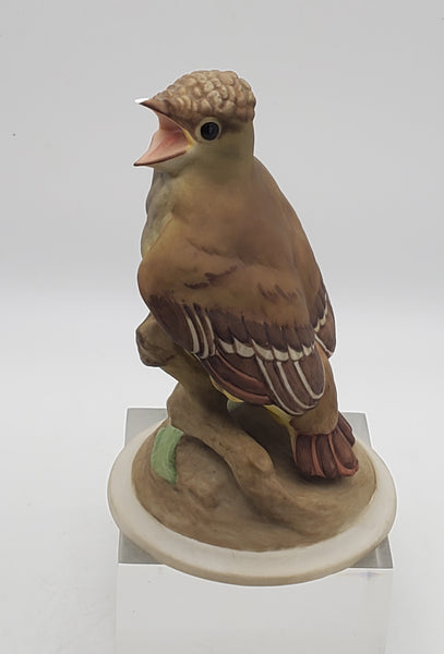 Boehm - Porcelain Baby Crested Flycatcher Figurine - Chipped