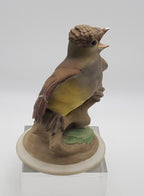 Boehm - Porcelain Baby Crested Flycatcher Figurine - Chipped