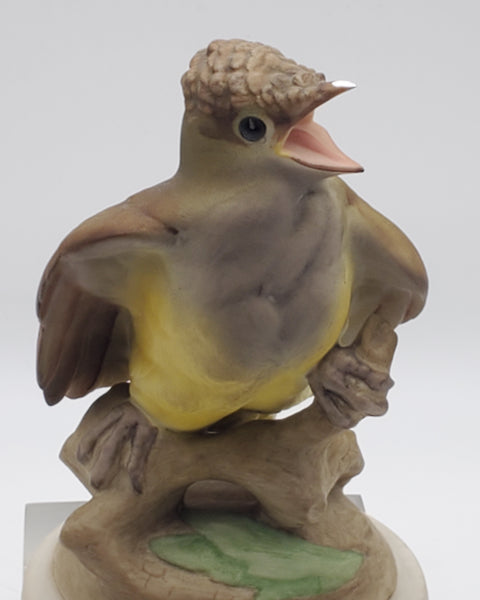 Boehm - Porcelain Baby Crested Flycatcher Figurine - Chipped