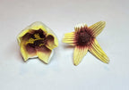 Vintage Handmade Ceramic Flowers - AS IS