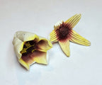 Vintage Handmade Ceramic Flowers - AS IS