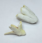 Vintage Handmade Ceramic Flowers - AS IS