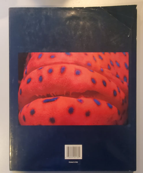 Colors of the Deep by Jeffrey L. Rotman - Vintage Photography Book