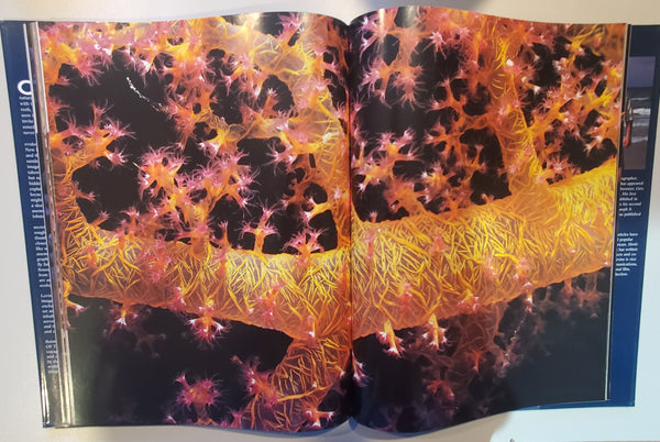 Colors of the Deep by Jeffrey L. Rotman - Vintage Photography Book