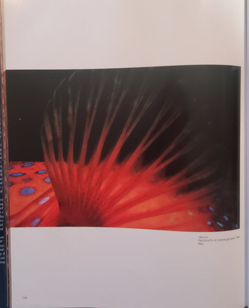 Colors of the Deep by Jeffrey L. Rotman - Vintage Photography Book