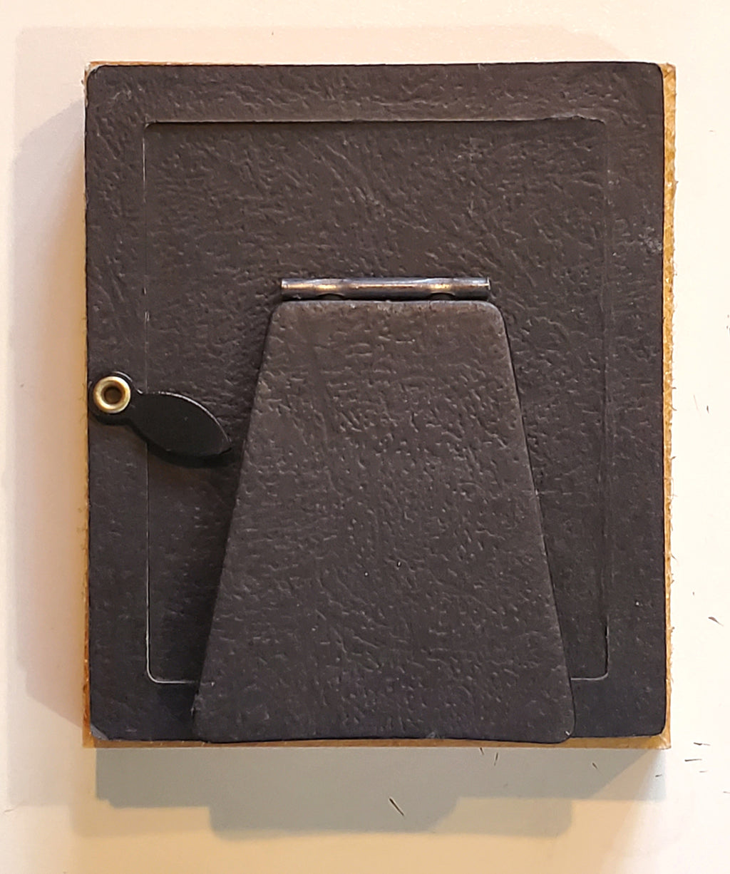 Antique Tin Type Family Photo
