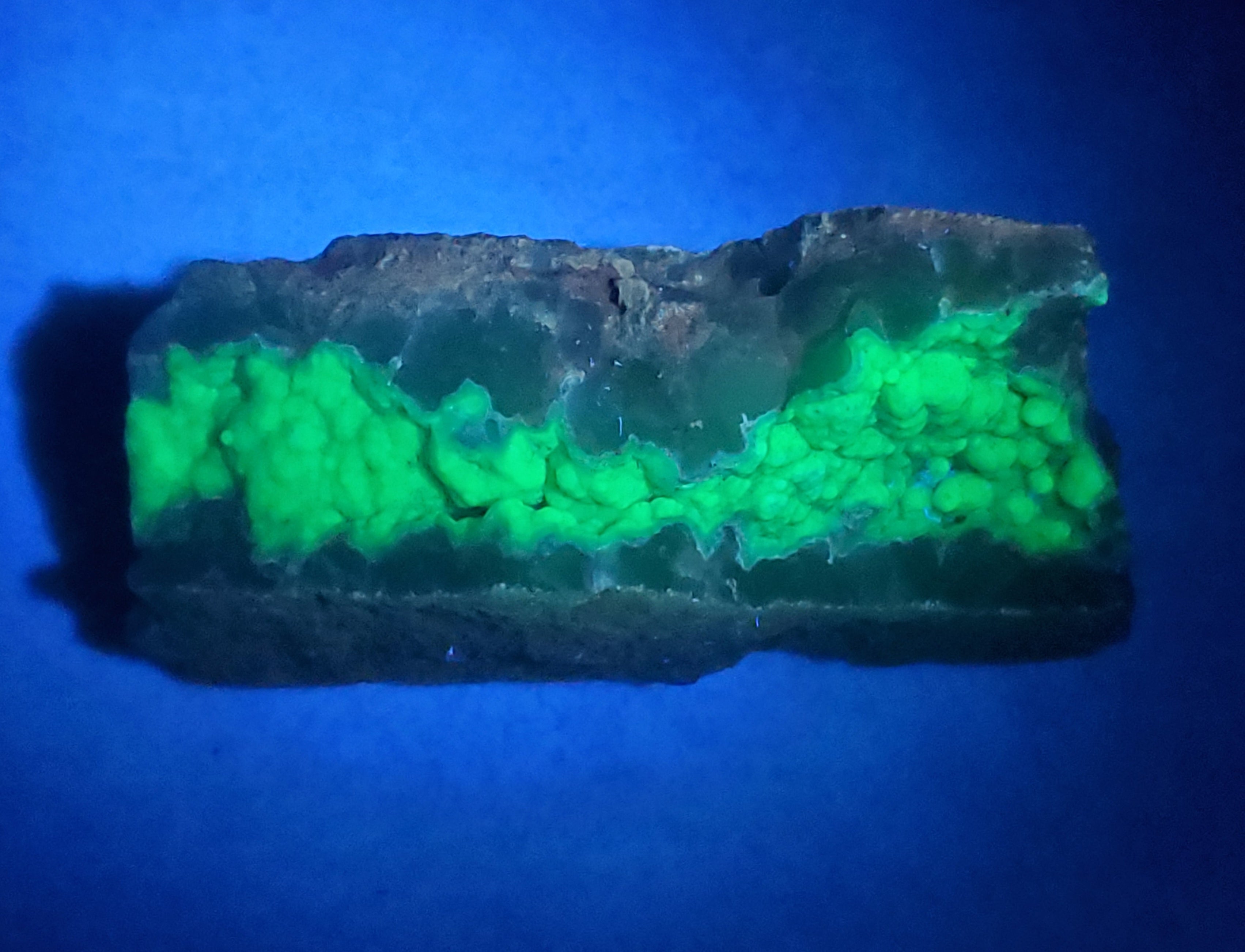 Green Fluorescent Botryoidal Chalcedony Specimen