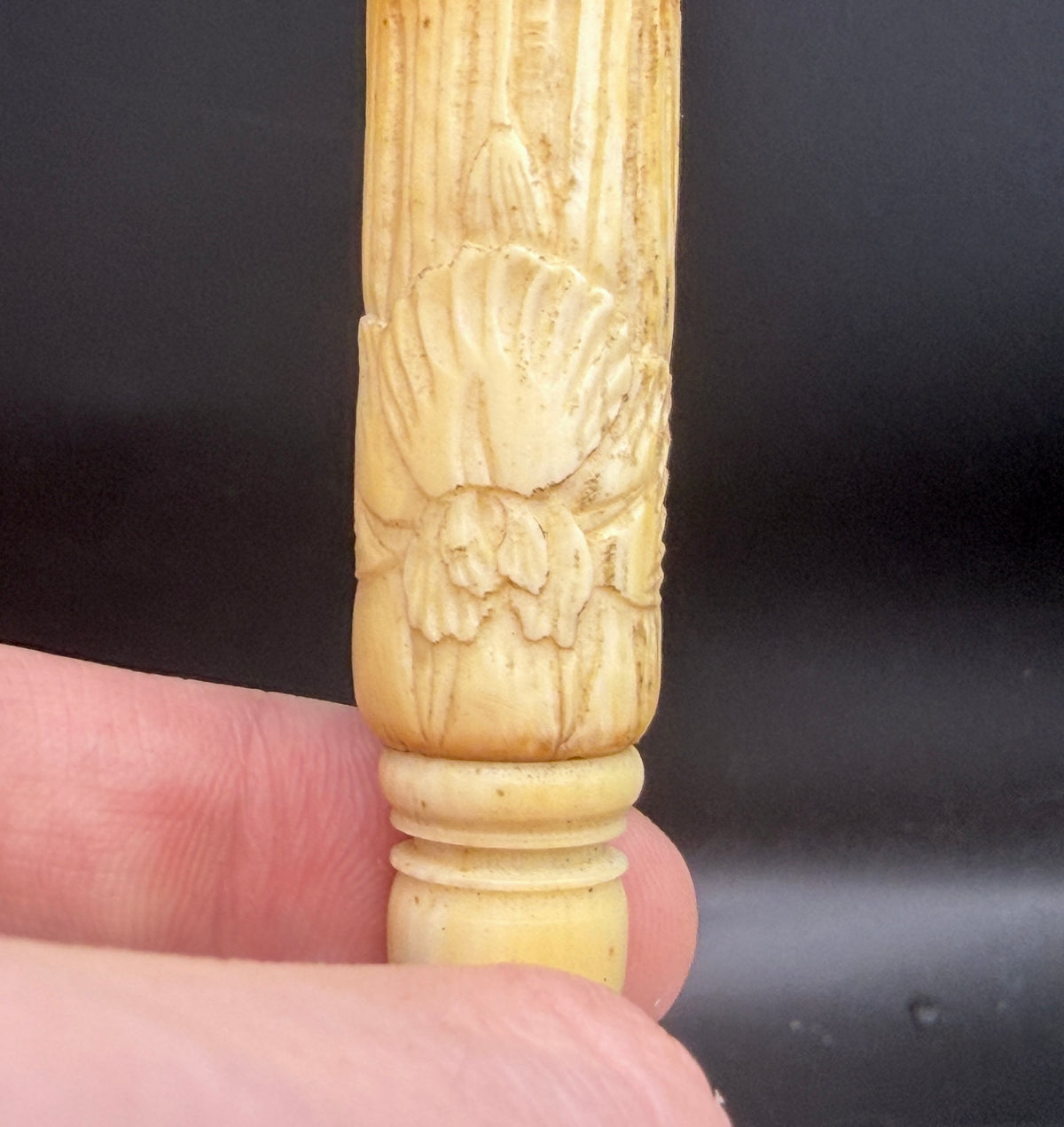Antique Carved Ivory Cigarette Holder with Leather Case