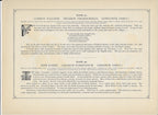 1894 Wild Flowers of America Print - Common Flea-Bean & Herb Robert